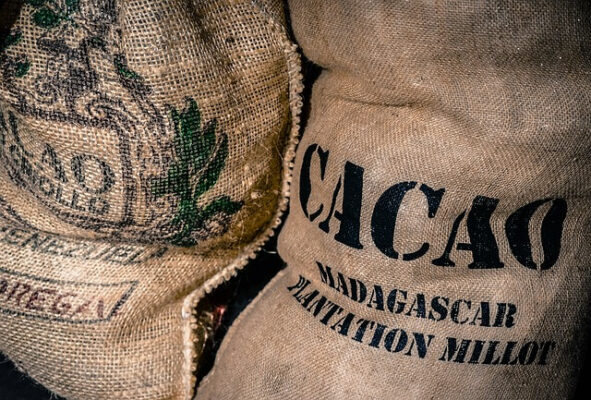 bolsas de cacao alimentación sostenible