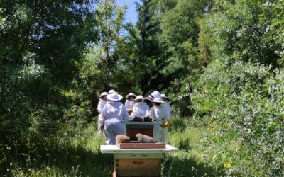 Apicultura, compostaje comunitario y agroturismo consciente en el corazón de La Vera