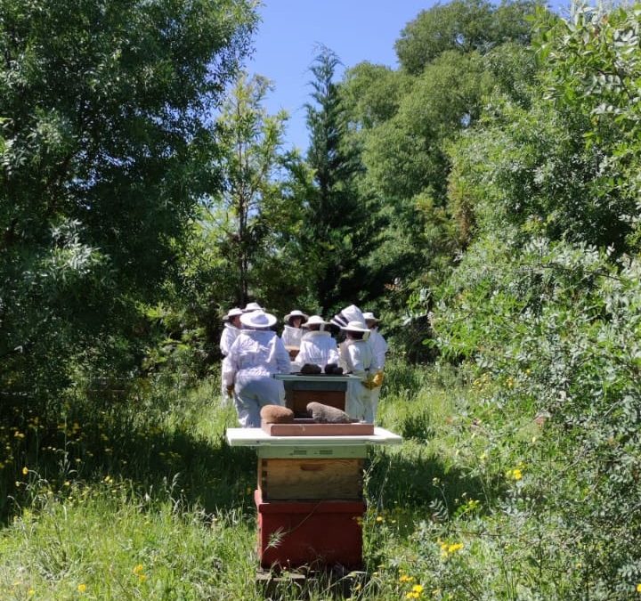 Apicultura, compostaje comunitario y agroturismo consciente en el corazón de La Vera